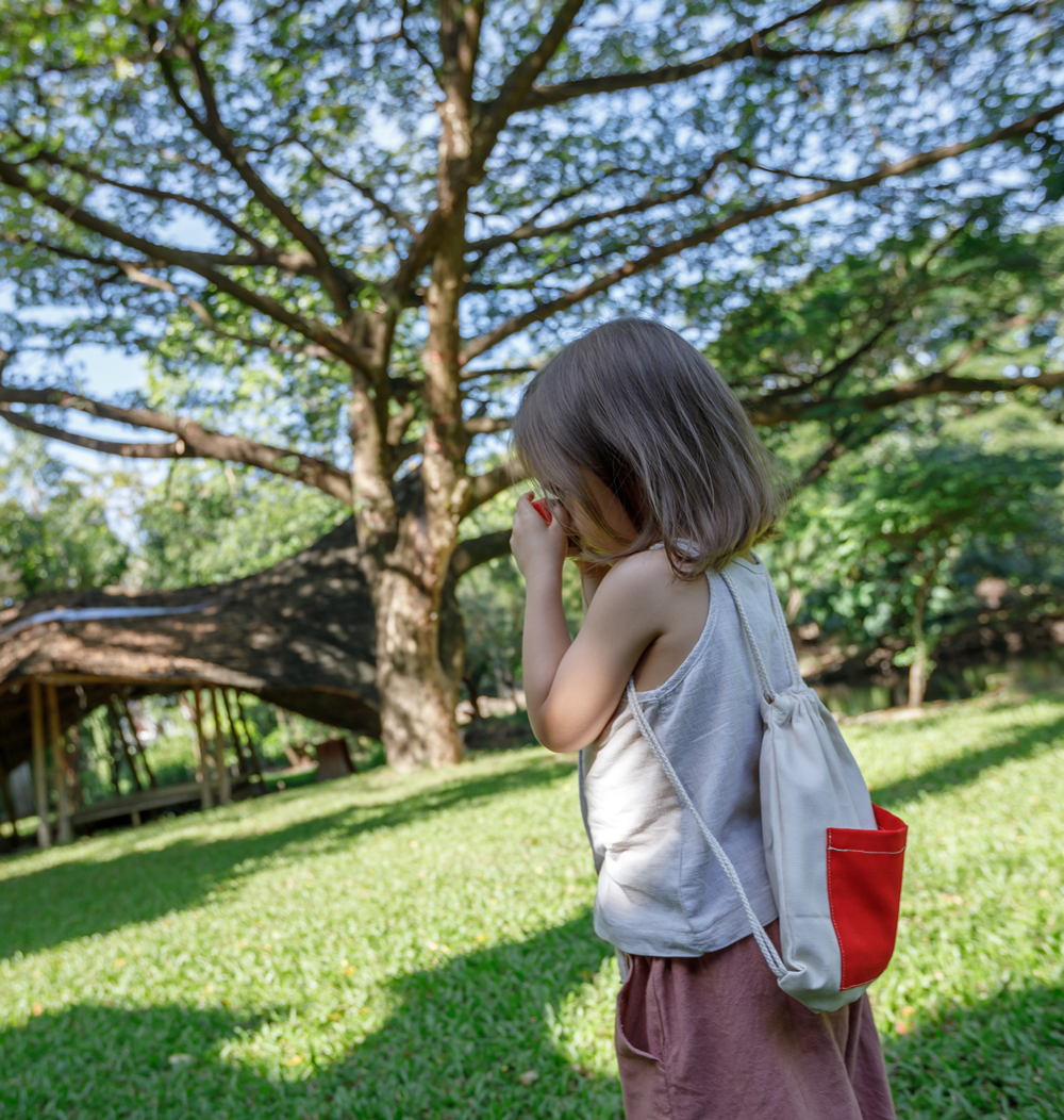 Set de joaca pentru Role Play - Micutul Vlogger - Plan Toys