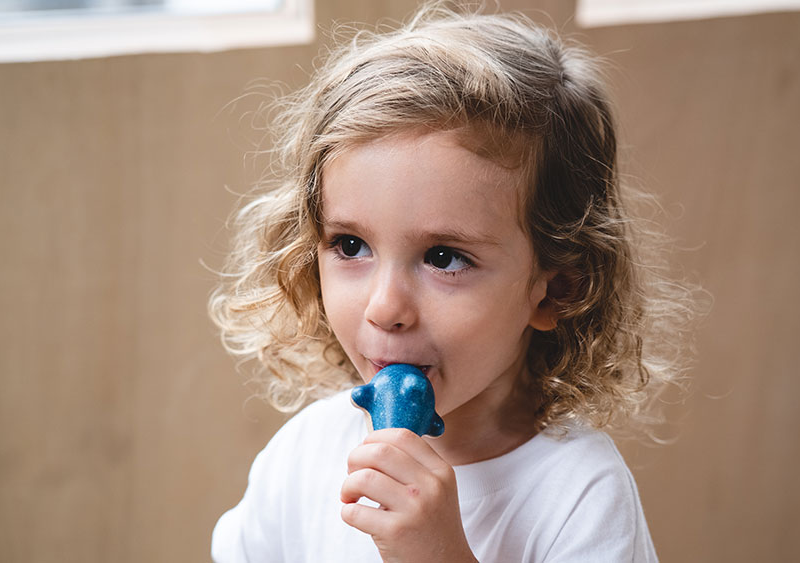 Fluier din lemn - Delfin - Plan Toys