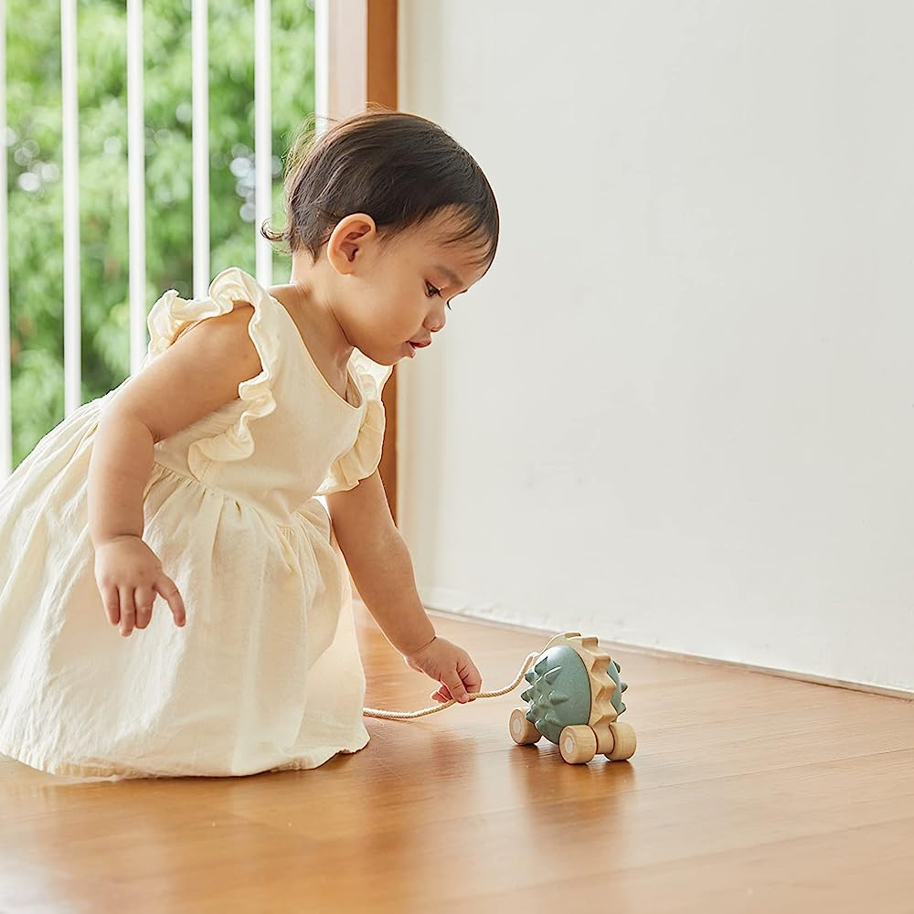 Jucarie de tras - Arici Bleu - Plan Toys