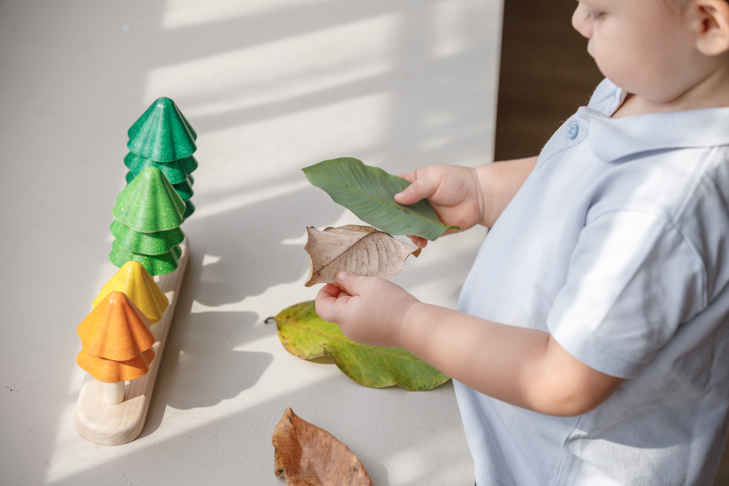 Joc educativ, sorteaza & numara - Trees - Plan Toys