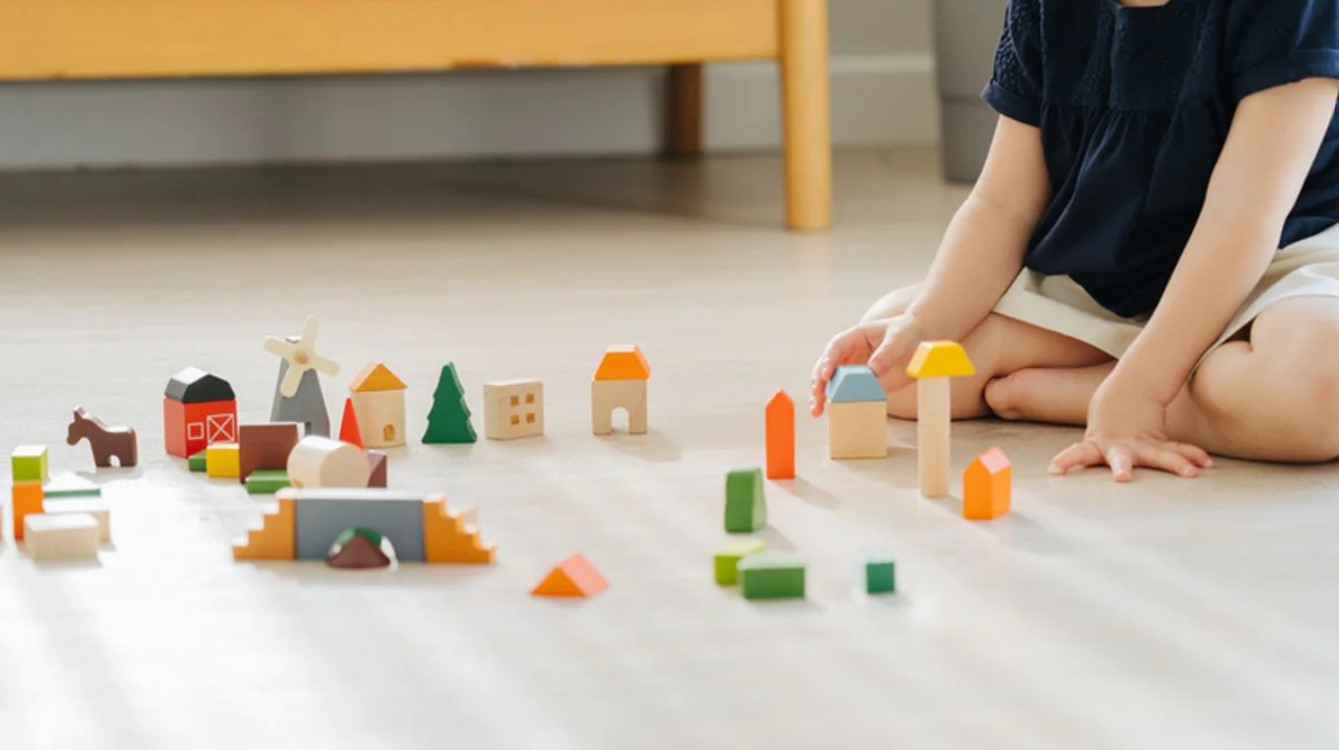 Blocuri din lemn pentru construit - Countryside - Plan Toys