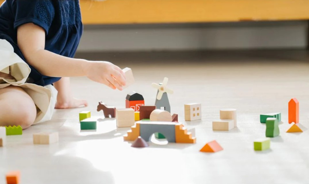 Blocuri din lemn pentru construit - Countryside - Plan Toys