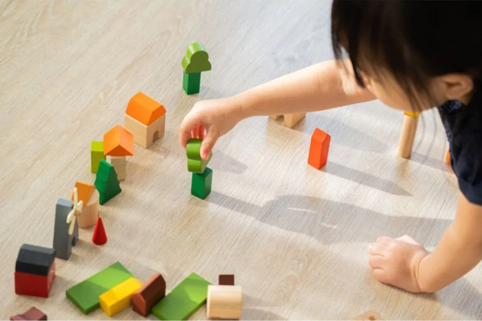 Blocuri din lemn pentru construit - Countryside - Plan Toys