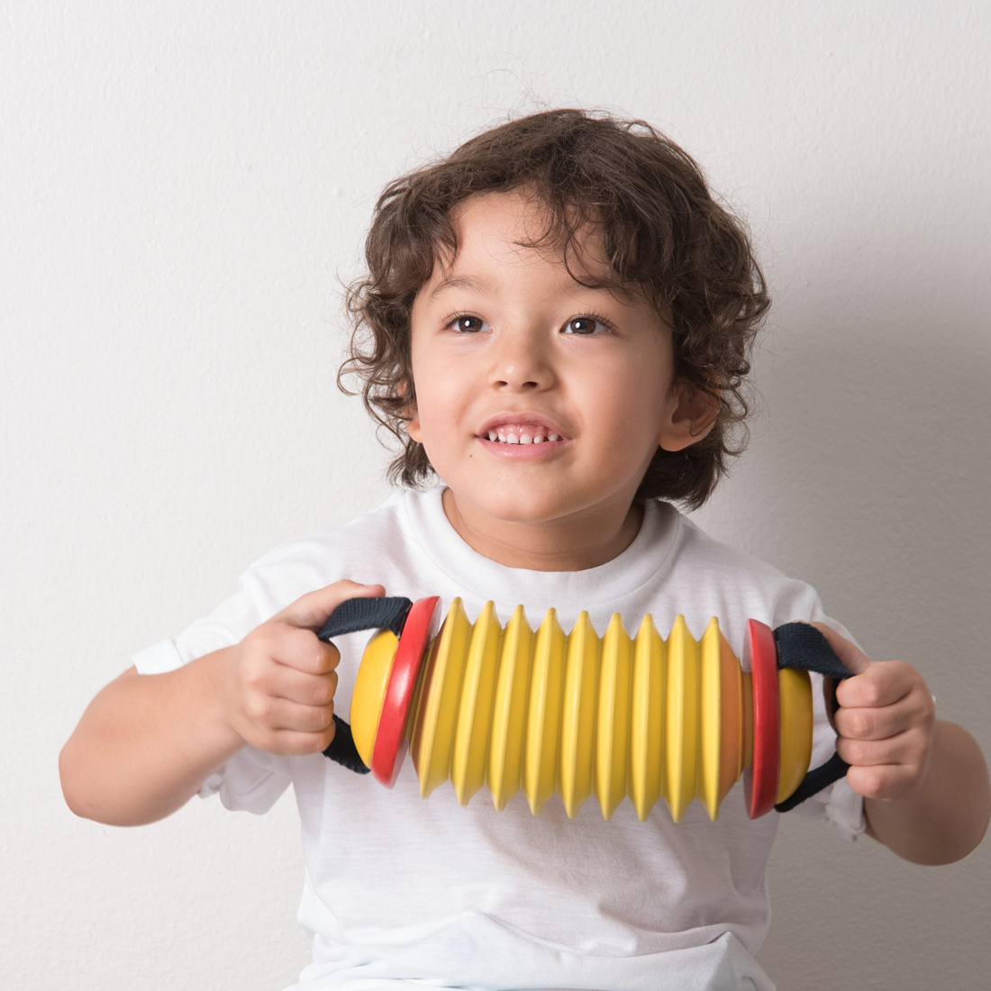 Instrument muzical - Concertina - Plan Toys
