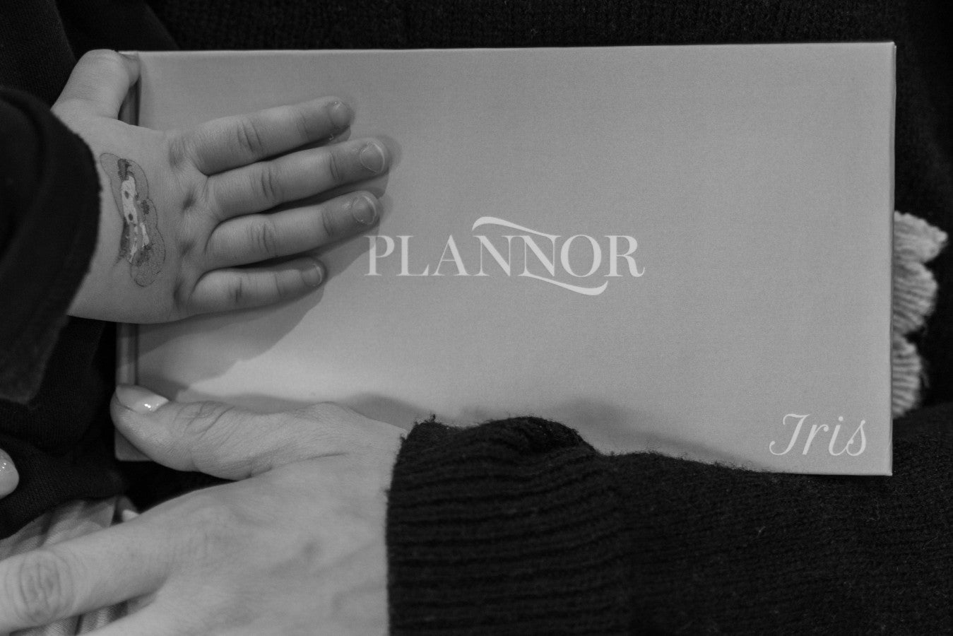 Jurnal de zbor pentru copii - The Sea of Italy - Plannor