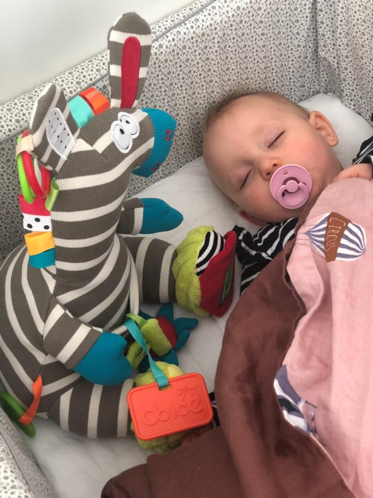 Jucarie interactiva cu activitati - Zebra Zeddy - Dolce