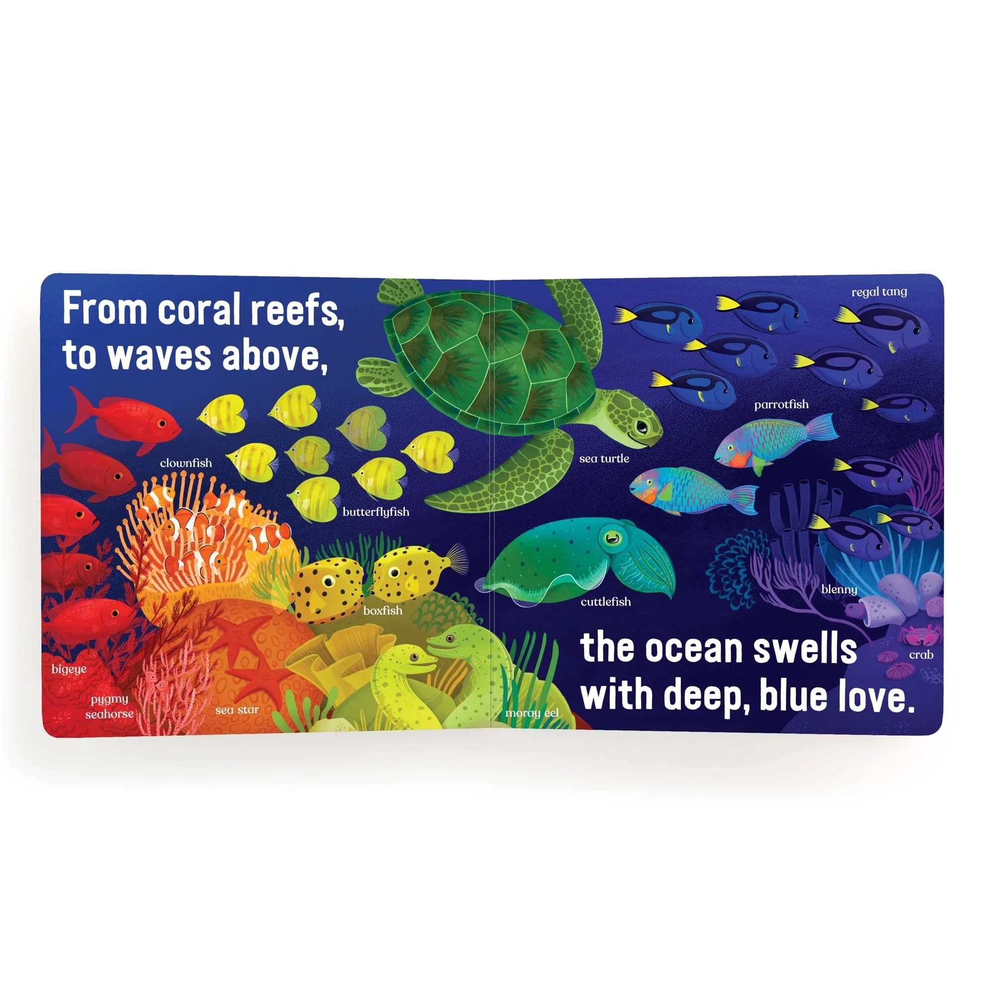 Carte cartonata - Love Under the Sea - Mudpuppy