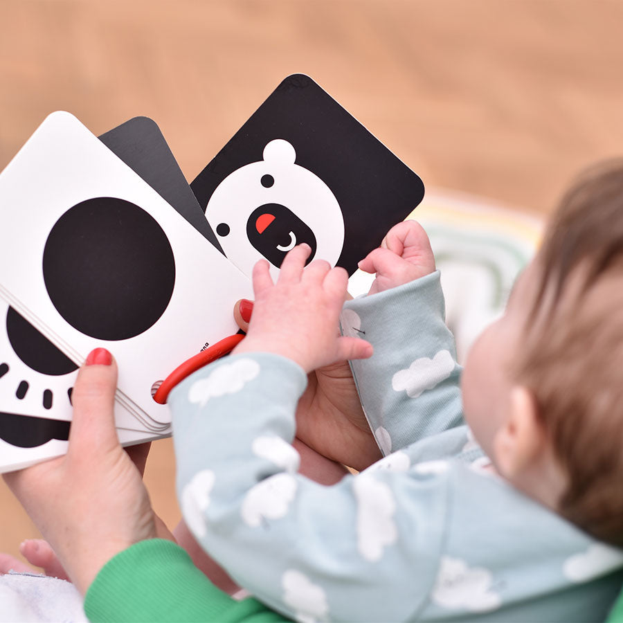 Cartonase pe inel pentru bebe, de la 0 luni - High Contrast - Banana Panda