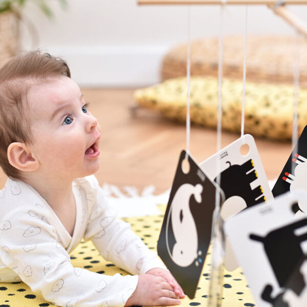 Cartonase pe inel pentru bebe, de la 3 luni - High Contrast - Banana Panda