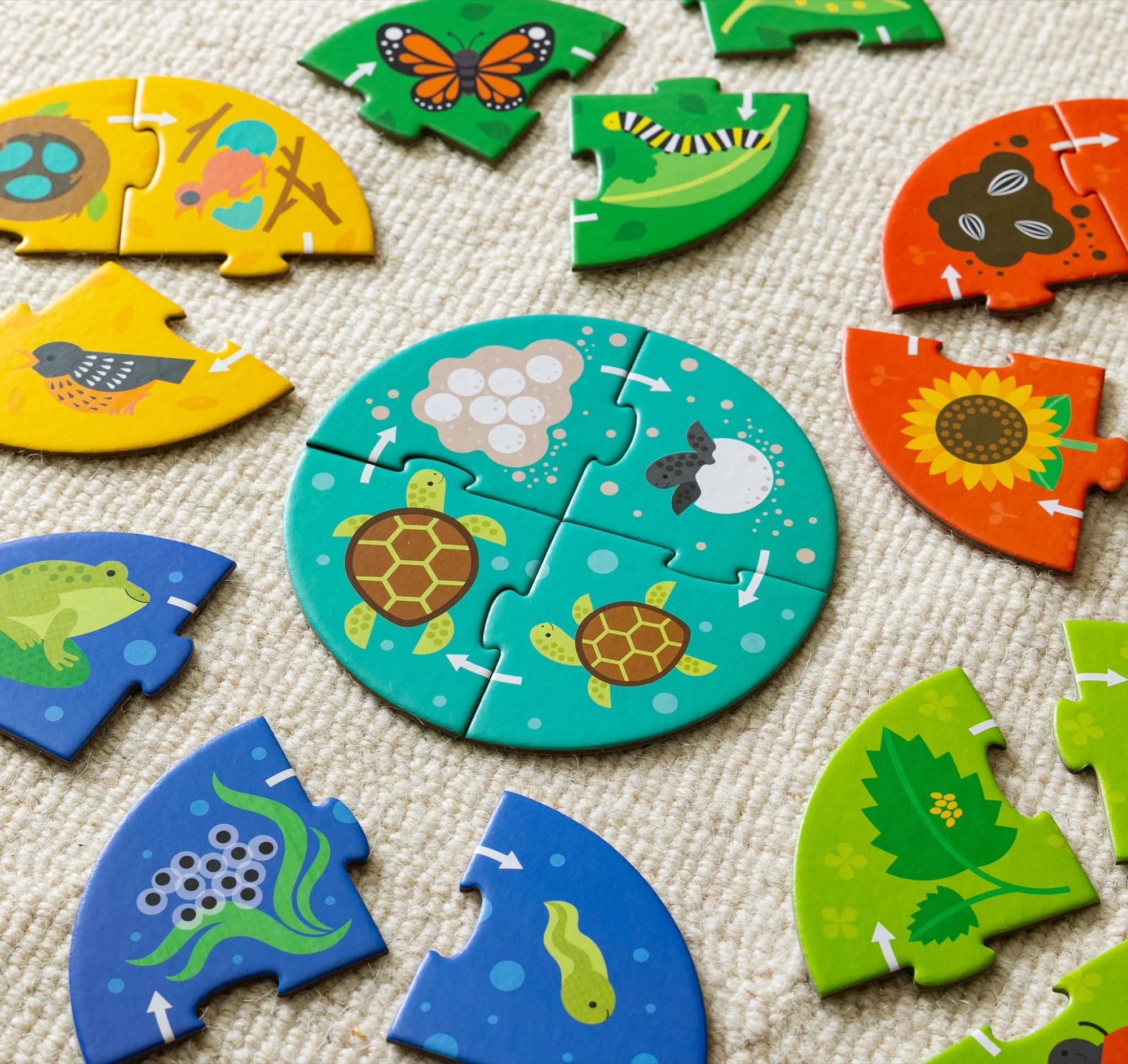 Puzzle educativ, 6 in 1 - Life Cycle - Petit Collage