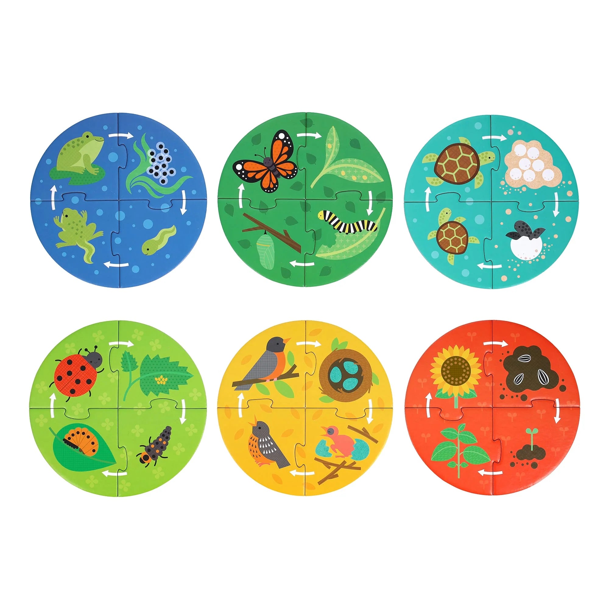 Puzzle educativ, 6 in 1 - Life Cycle - Petit Collage
