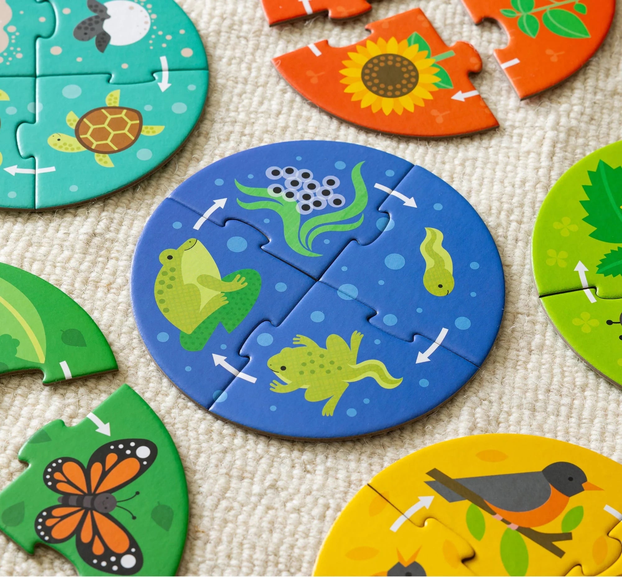 Puzzle educativ, 6 in 1 - Life Cycle - Petit Collage