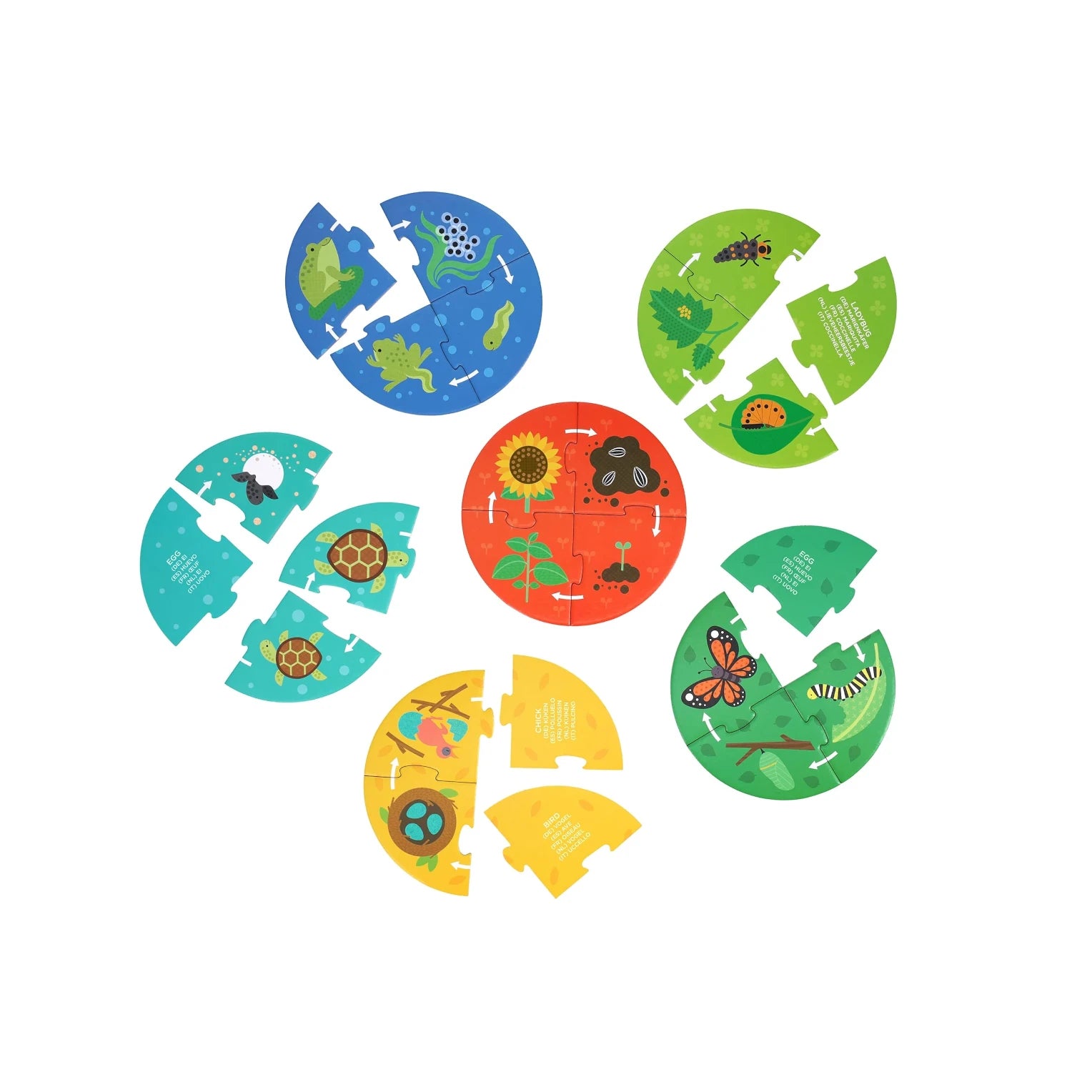 Puzzle educativ, 6 in 1 - Life Cycle - Petit Collage