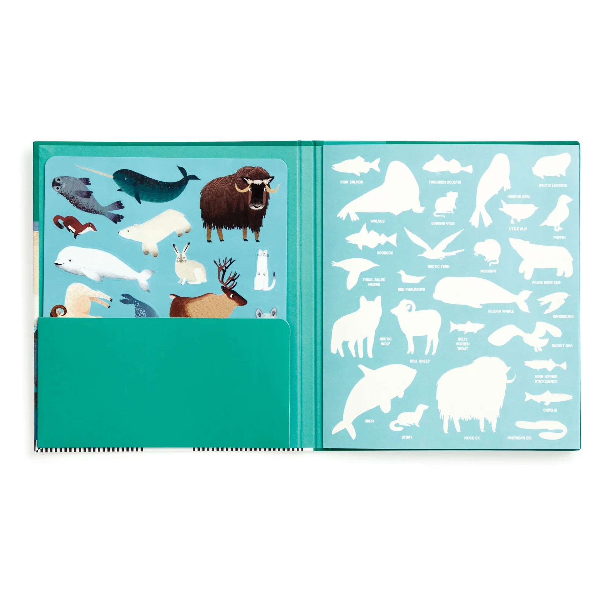 Set autocolante reutilizabile Arctic Life Mudpuppy - coli autocolante