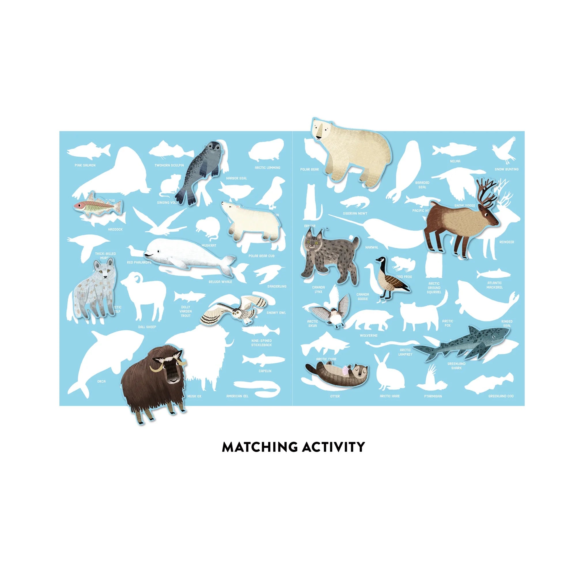 Set autocolante reutilizabile Arctic Life Mudpuppy - detaliu animale 3