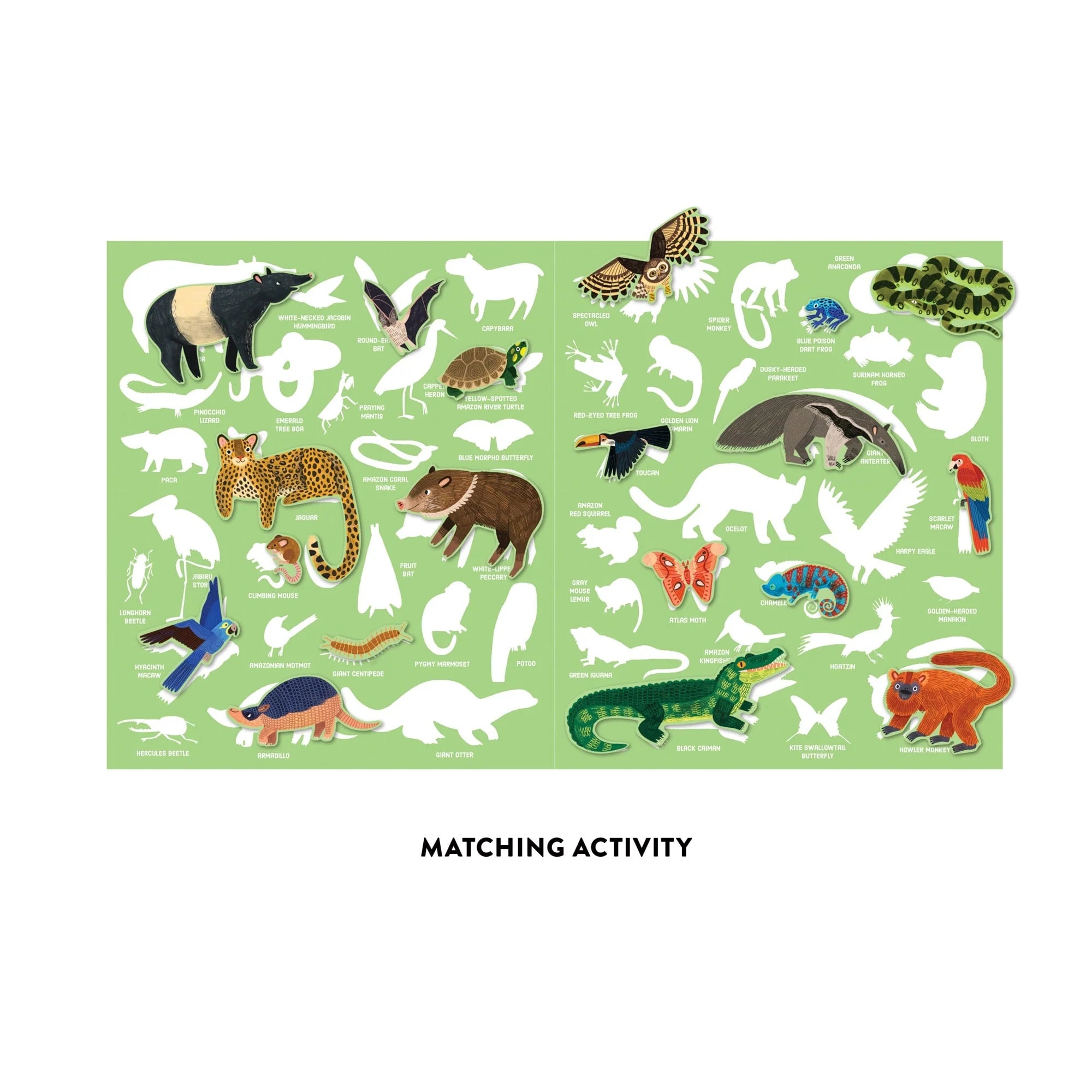 Set stickere reutilizabile Rainforest Mudpuppy - activitate potrivire