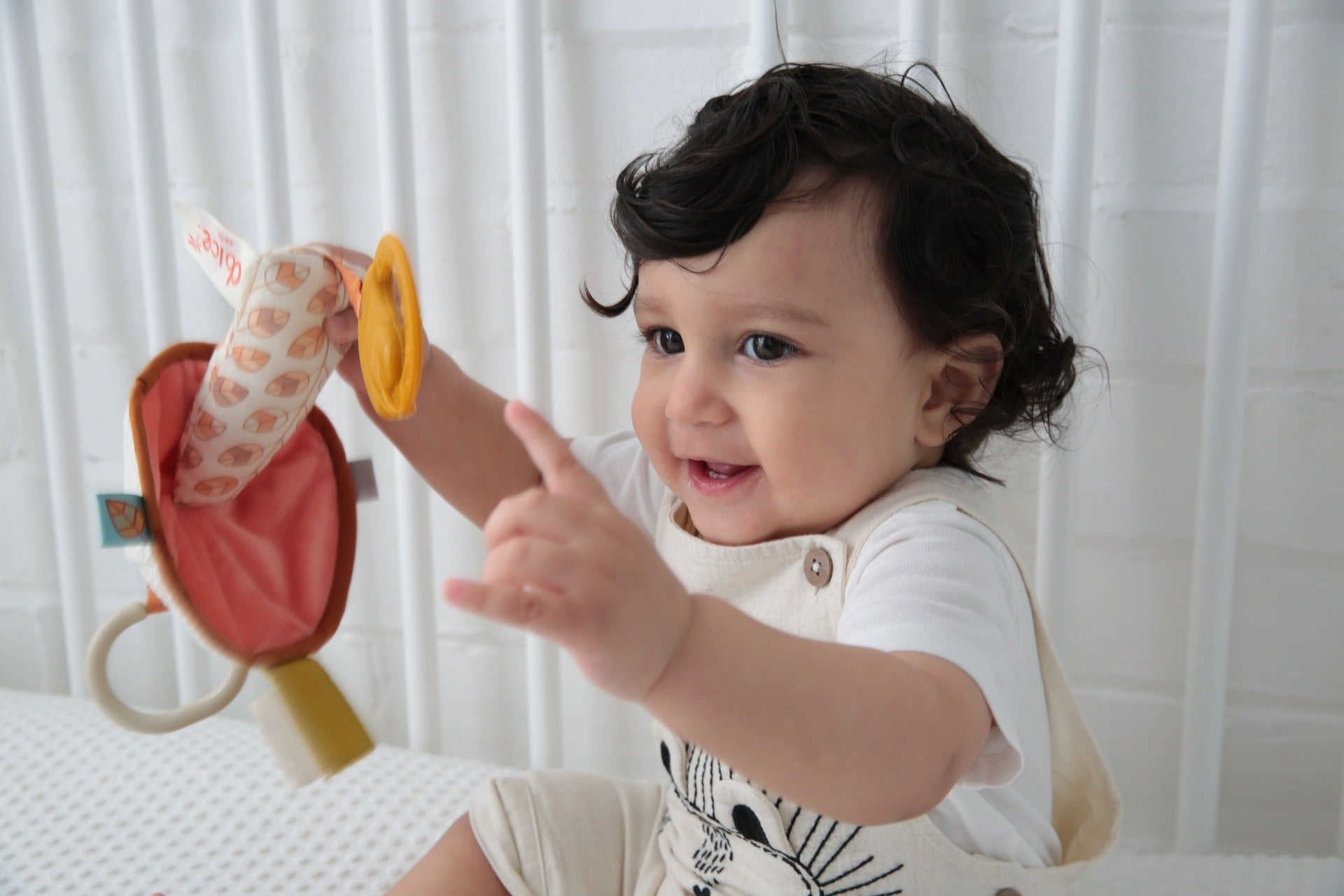 Jucarie pentru dentitie - Ciupercuta - Dolce