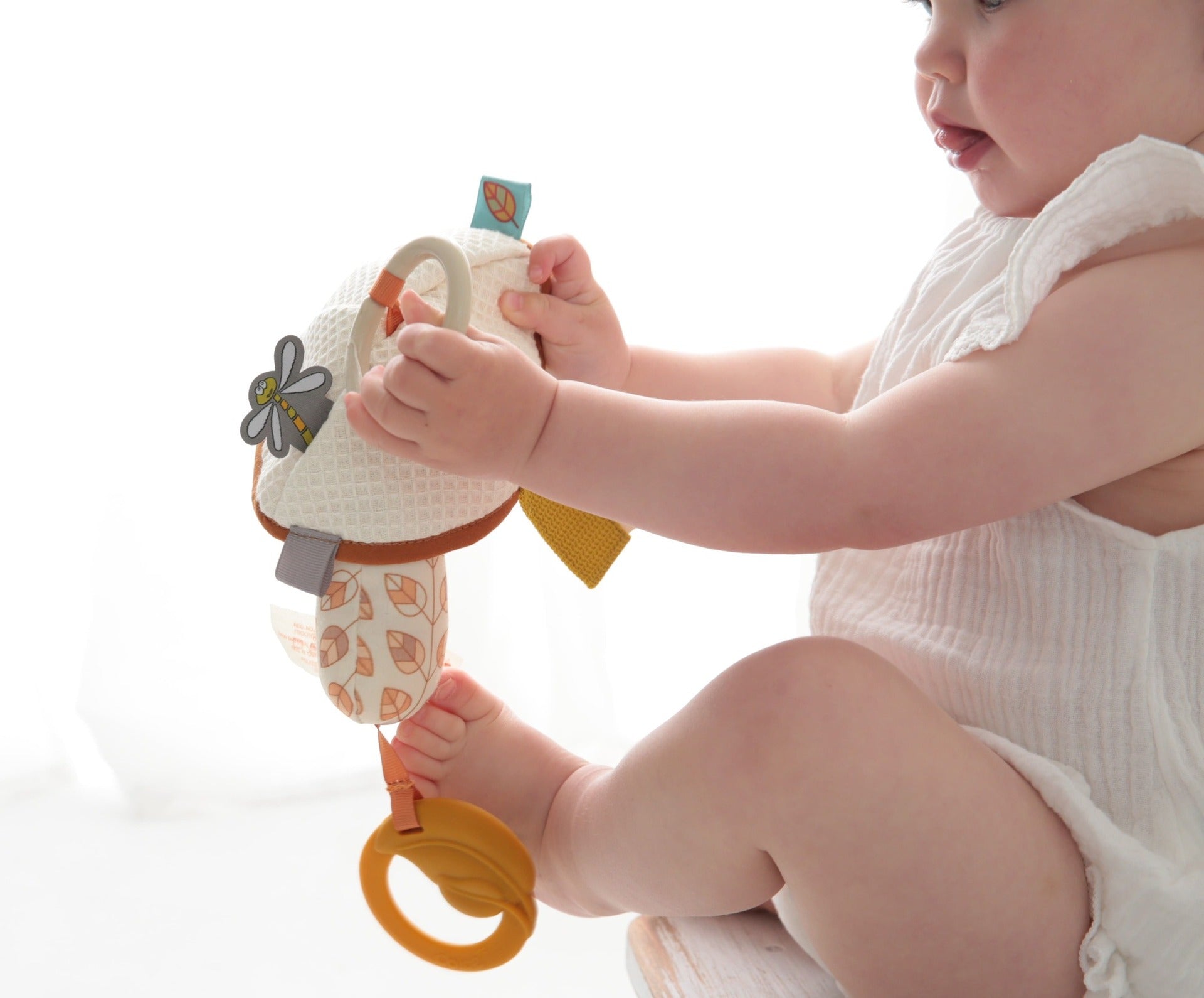 Jucarie pentru dentitie - Ciupercuta - Dolce