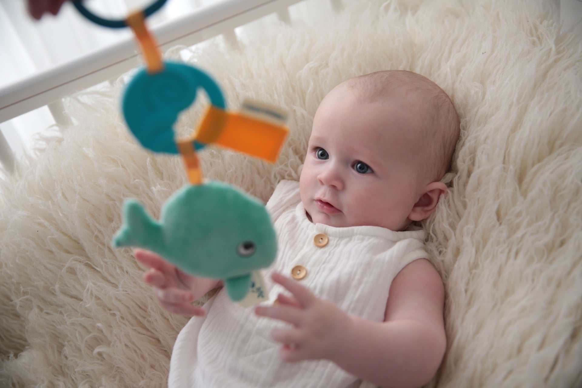 Jucarie pentru dentitie - Balena Splash - Dolce