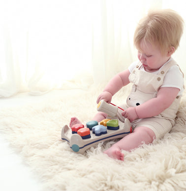 Sortator de forme - Banc cu ciocan - Tolo Bio