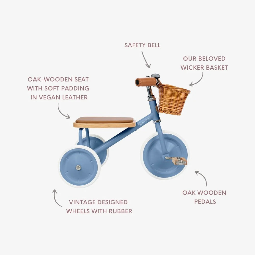 Tricicletă Vintage cu pedale, ghidon reglabil - Blue - BANWOOD