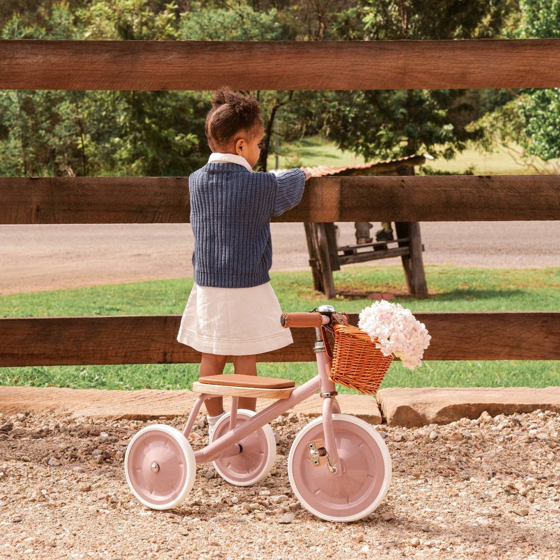 Tricicletă Vintage cu pedale, ghidon reglabil - Dusty Pink - BANWOOD