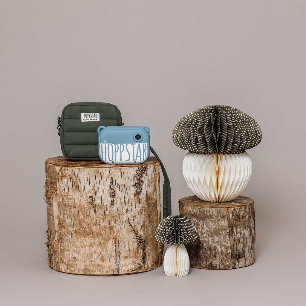 Geanta pentru aparatul foto Artist - Midi Laurel - Hoppstar