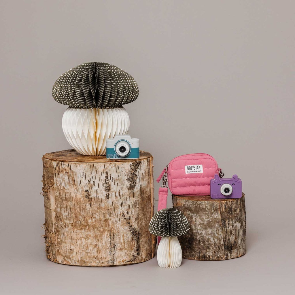 Geanta pentru aparatul foto Rookie - Mini Bubblegum - Hoppstar