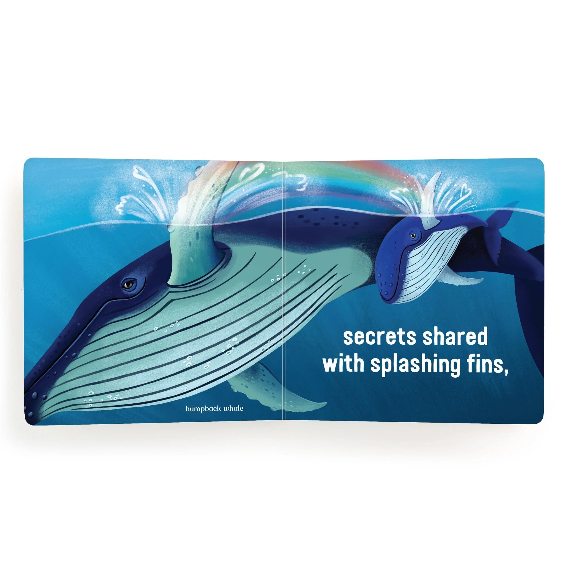 Carte cartonata - Love Under the Sea - Mudpuppy