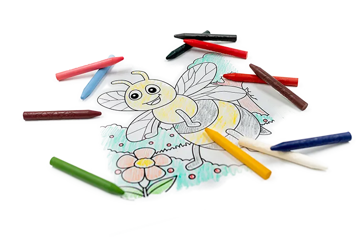 Creioane subtiri din ceara de albine, 12 culori – Classic - Medenka