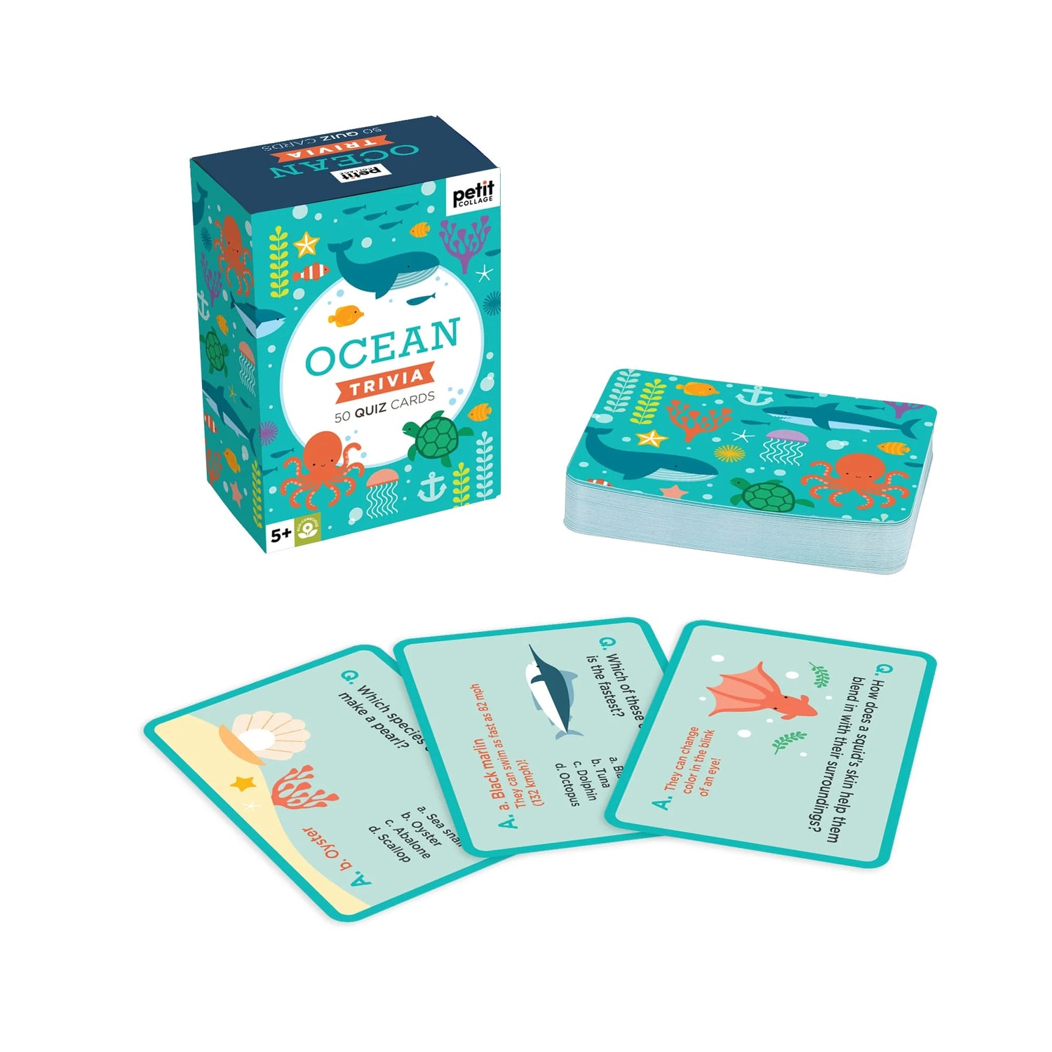 Joc educativ, 50 carduri - Ocean Trivia - Petit Collage