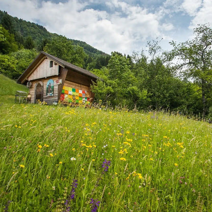 Creioane groase din ceară de soia, 6 culori - Junior - Medenka