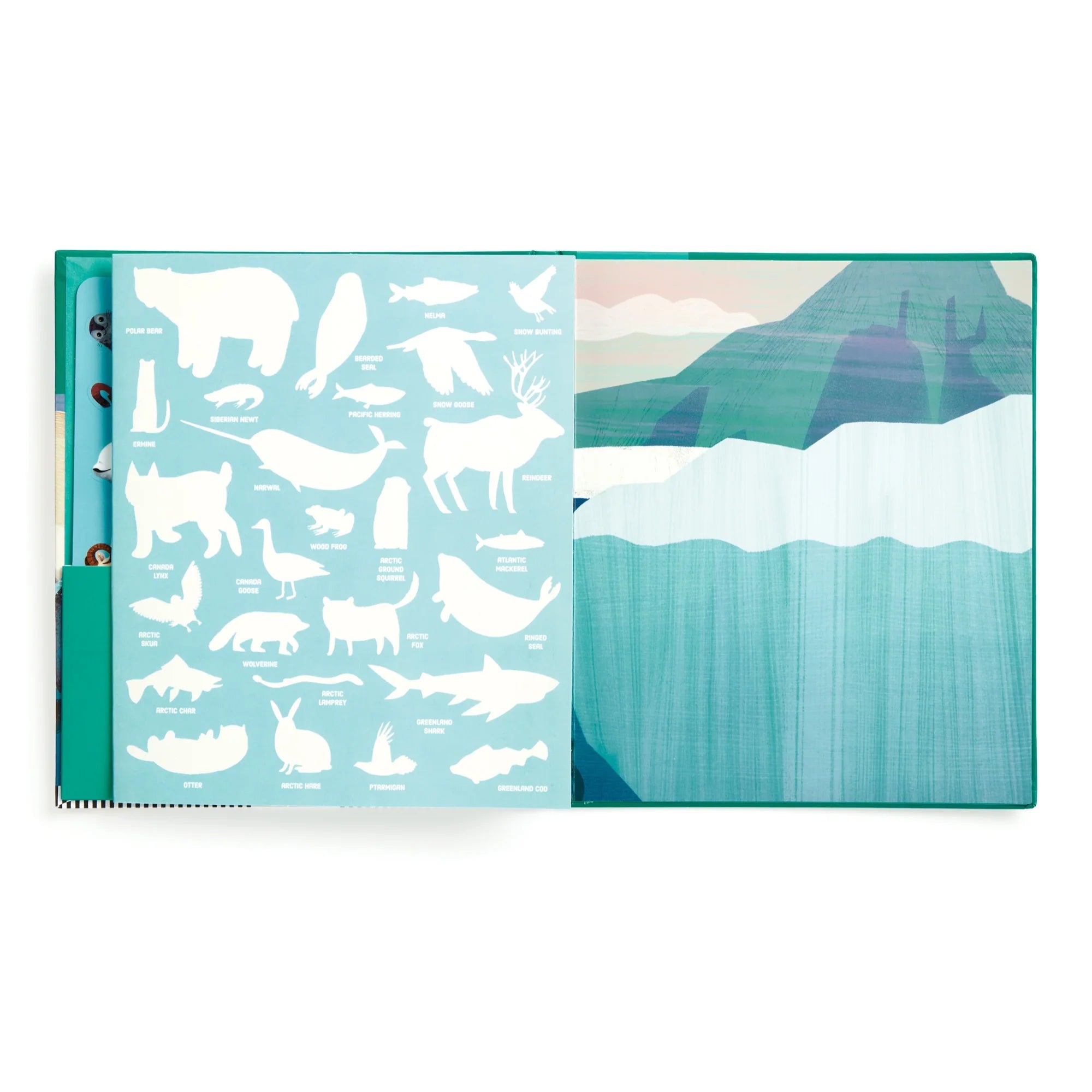 Set autocolante reutilizabile Arctic Life Mudpuppy - coli autocolante detaliu