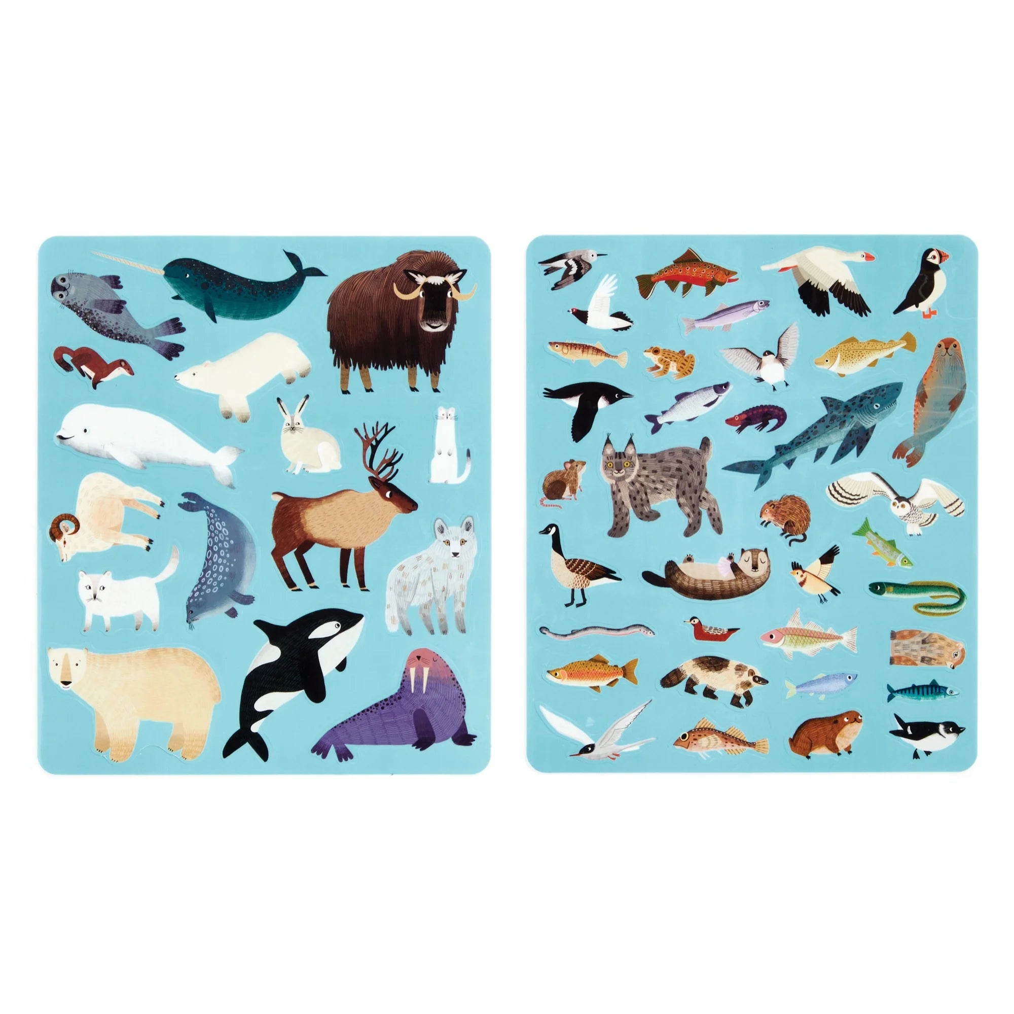 Set autocolante reutilizabile Arctic Life Mudpuppy - activitate potrivire