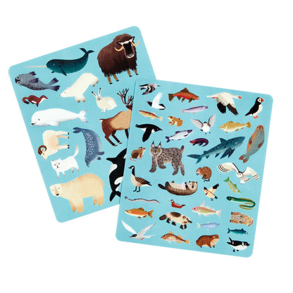 Set autocolante reutilizabile Arctic Life Mudpuppy - detaliu animale