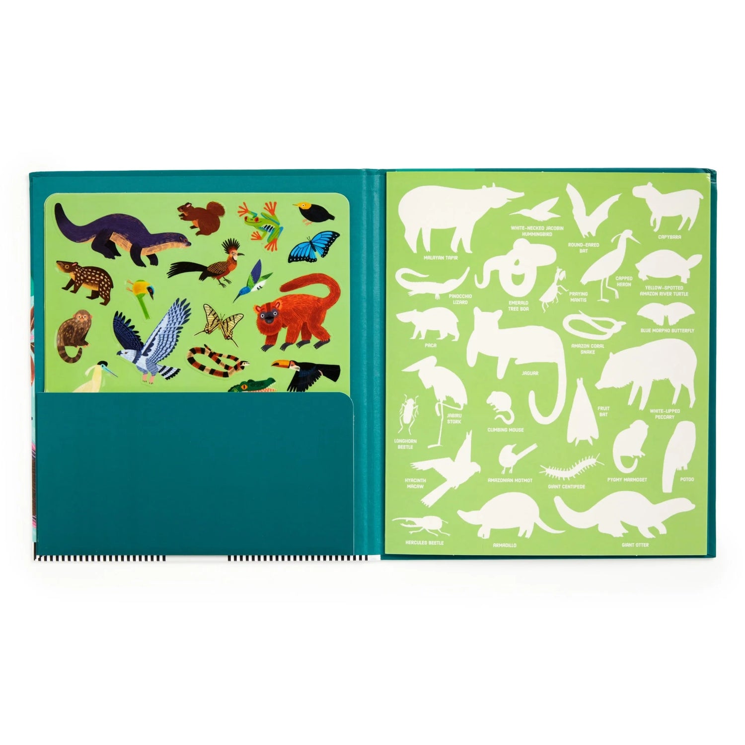 Set stickere reutilizabile Rainforest Mudpuppy - detaliu stickere
